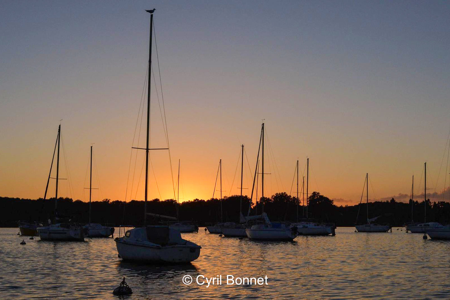 Crépuscule doré sur l'Erdre (encadrement)