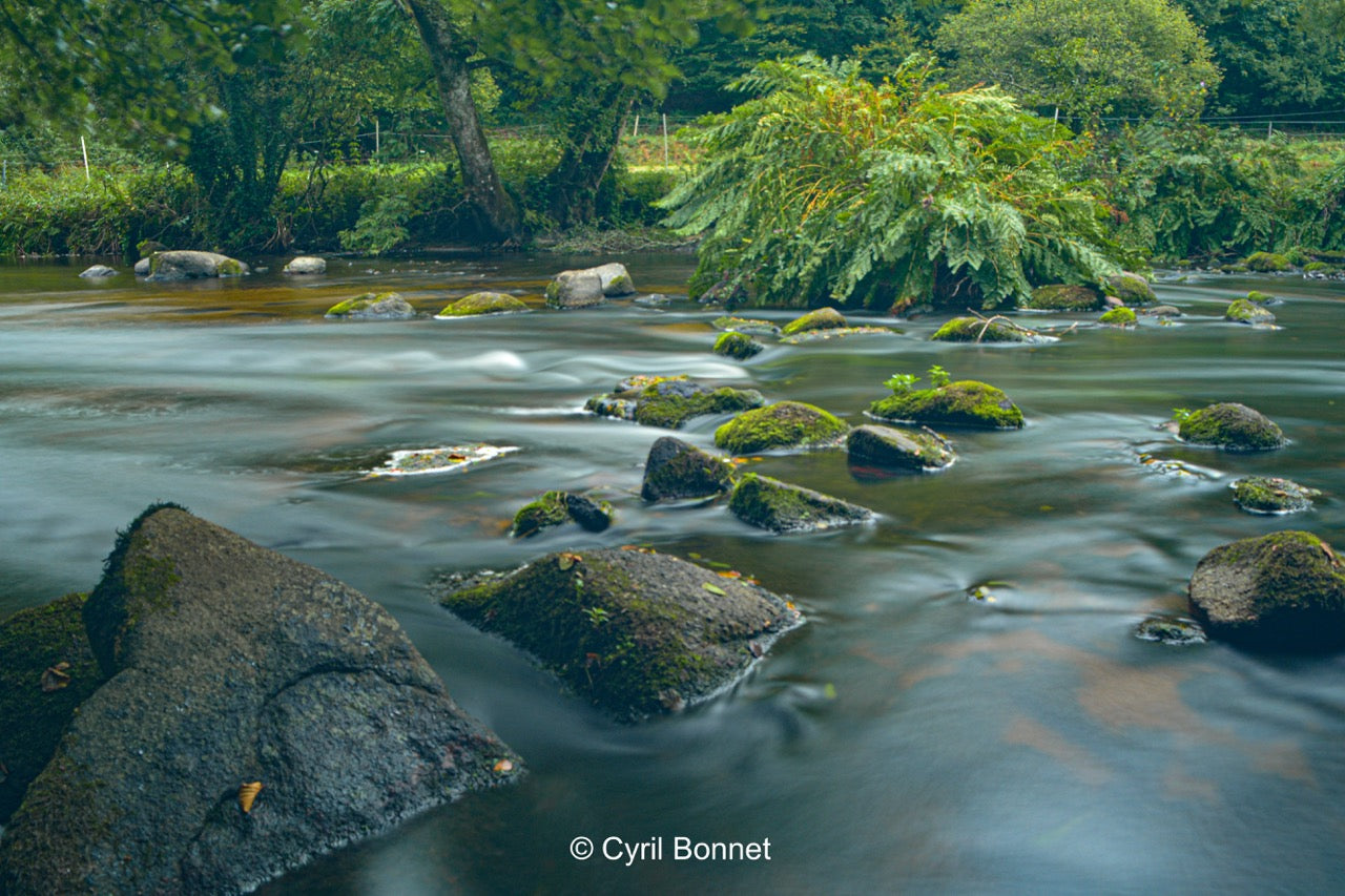 Contemplation du Léguer (encadrement)