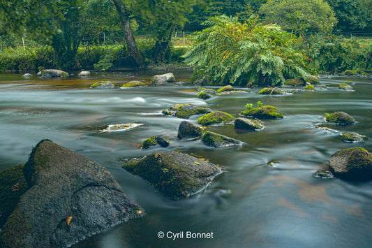 Contemplation du Léguer (encadrement)